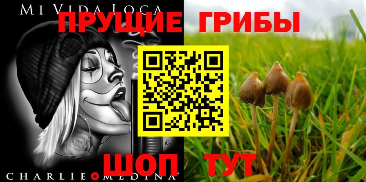 Псилоцибиновые грибы прущие грибы Егорьевск