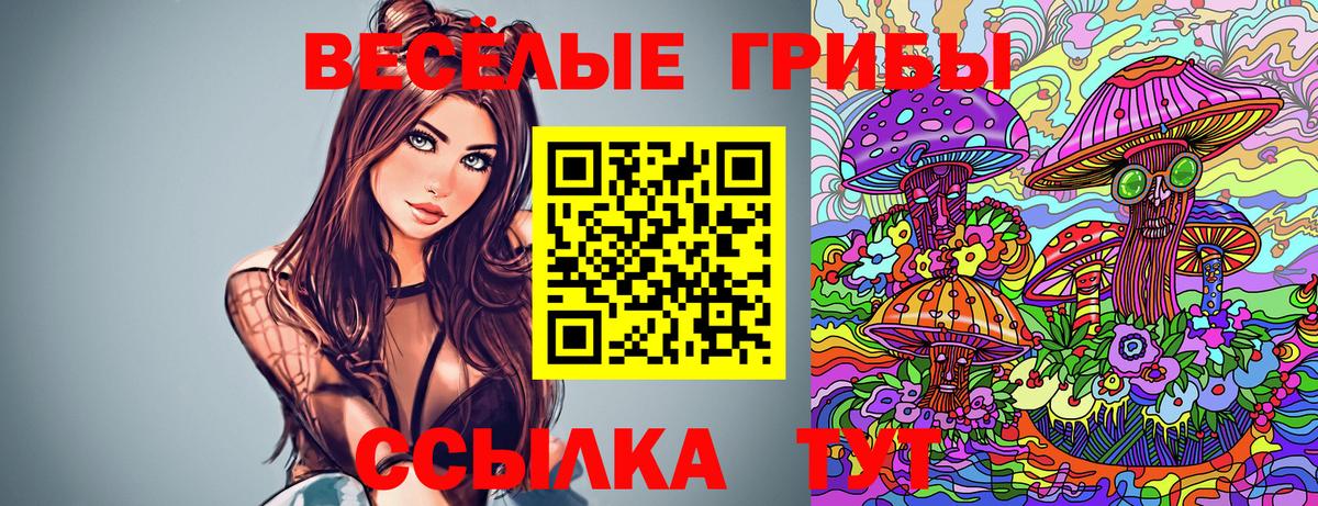 Псилоцибиновые грибы GOLDEN TEACHER  Вход с VPN  наркотики  Егорьевск  Псилоцибиновые грибы Psilocybe 